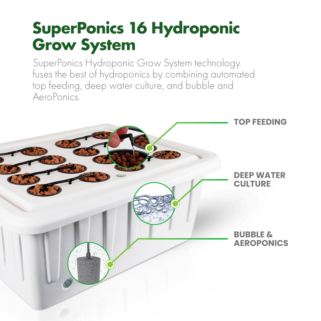 SuperPonics 16-Site Hydroponic System