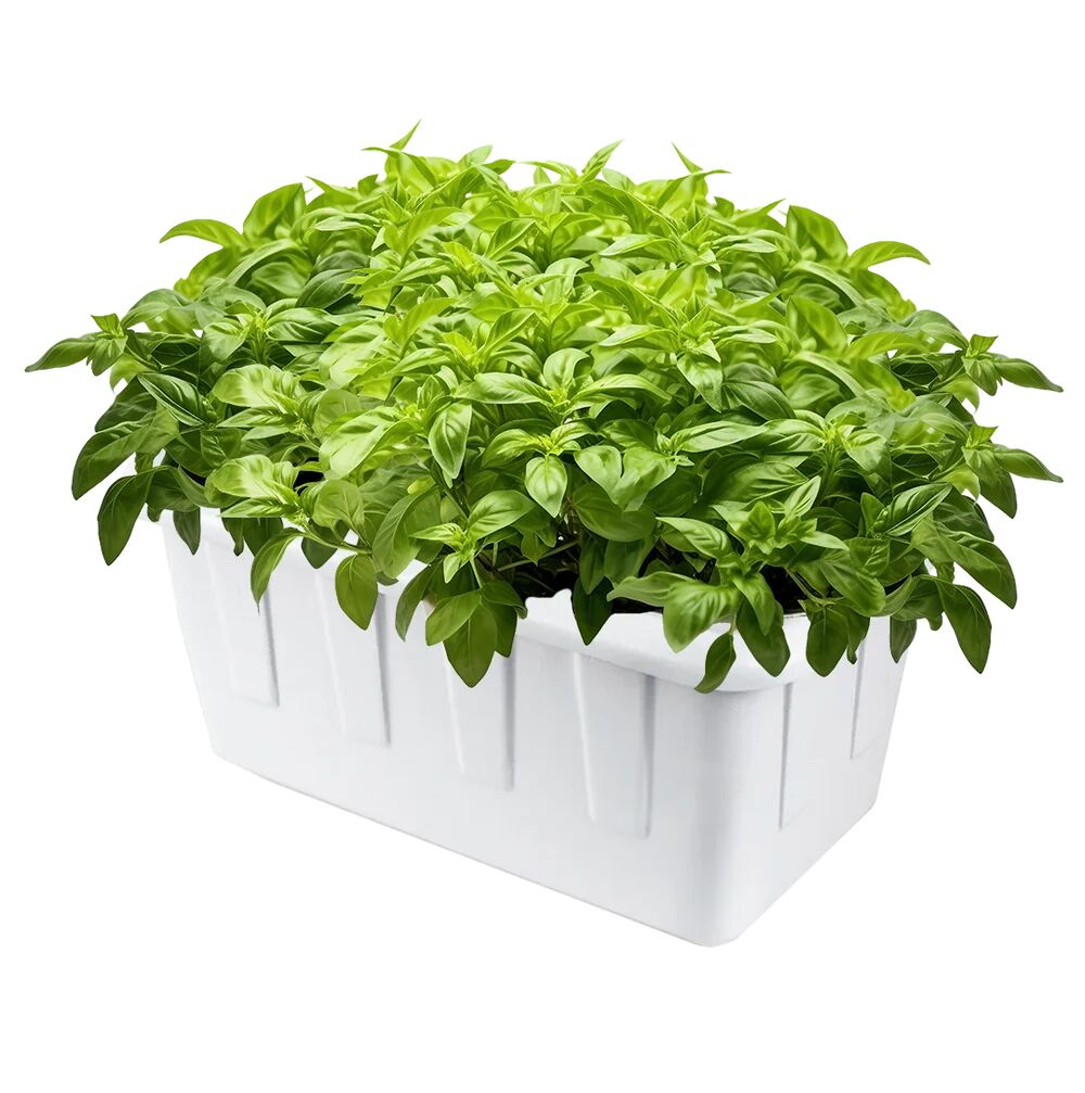 SuperPonics 8 Hydroponic Grow System