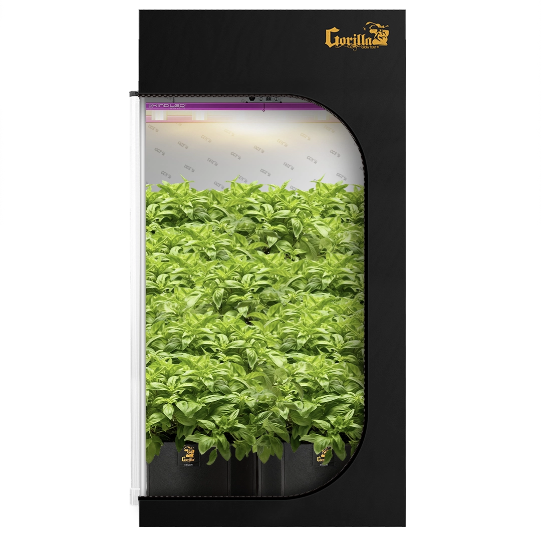 The All New Gorilla Grow Tent 4' x 4' x 6'11"