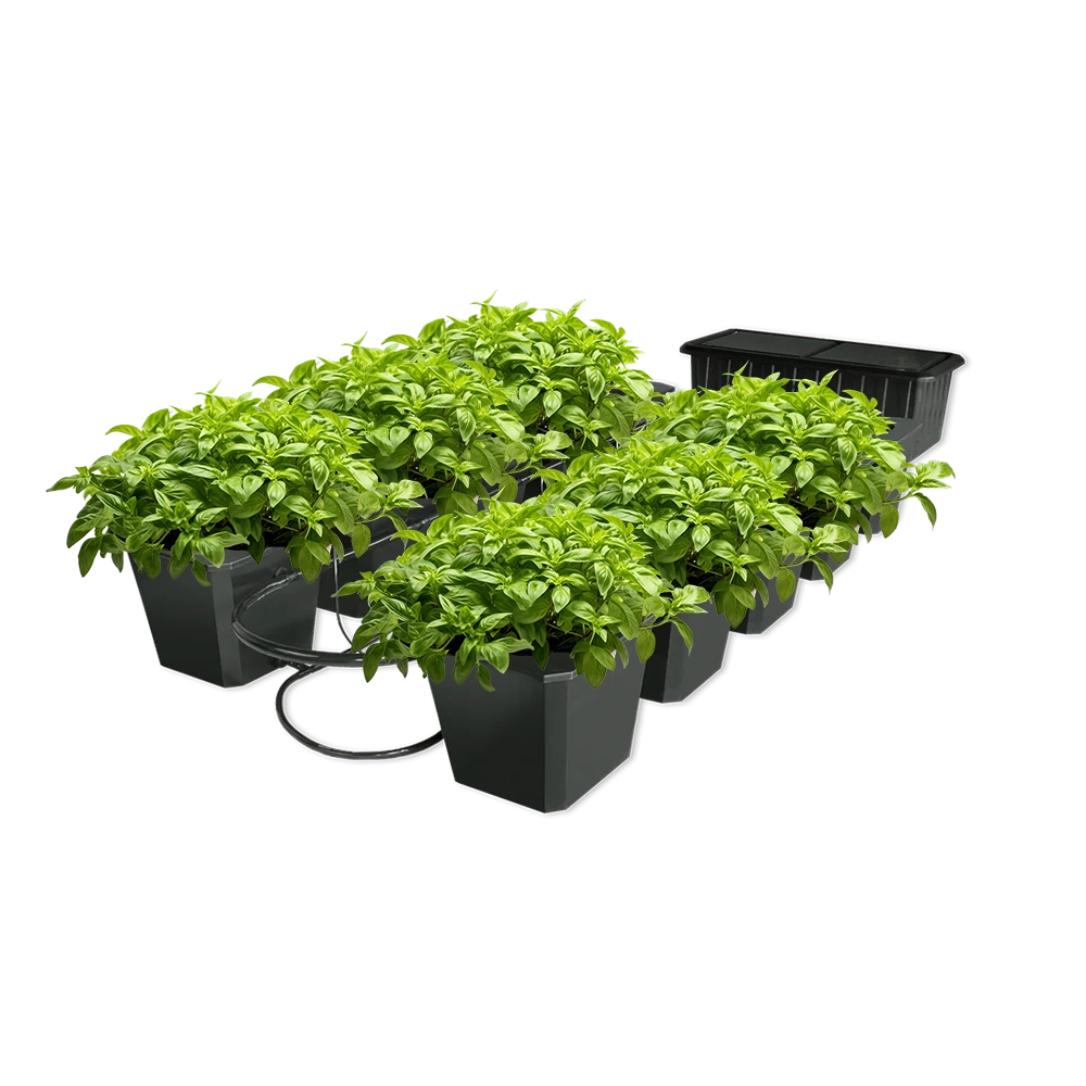 10-Site Bubble Flow Buckets Hydroponic Grow System