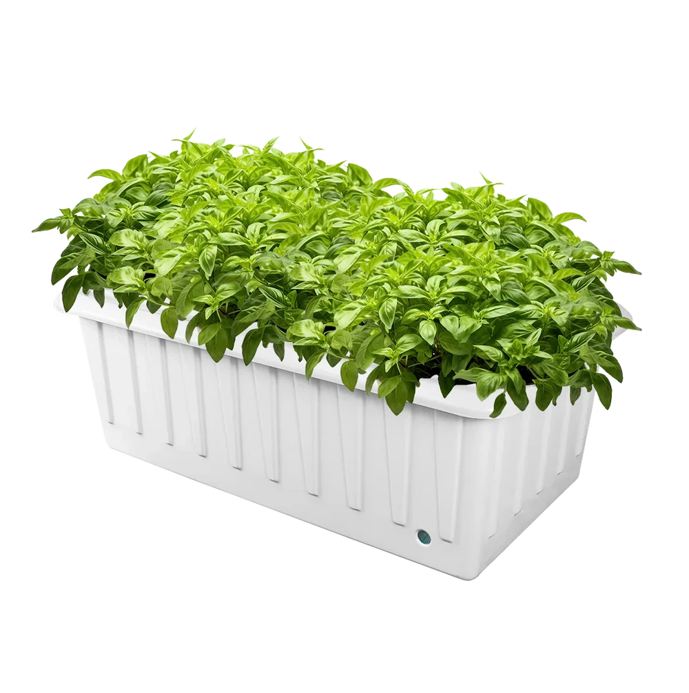 SuperPonics 16 Hydroponic Grow System