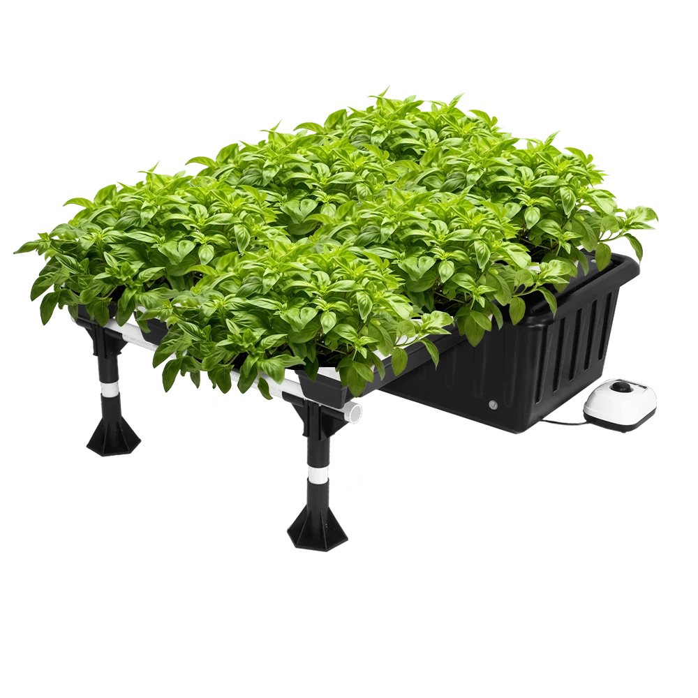 20-Site Super Flow Hydroponic Grow System