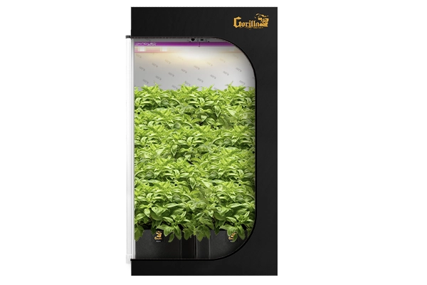 coir plant pots Envelor Coco Coir Plant Pots Seed Starter Tray Biodegradable Seed Starter Pots Coco Peat Pots Seedling Cups Small Plant Pots Germination Nursery